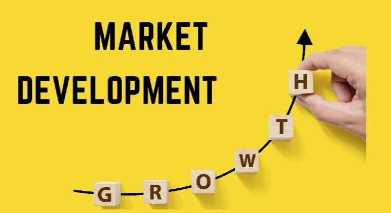 How to Assess Projector Market Potential in Emerging Markets